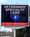 Veterinary Specialty Care Mt Pleasant